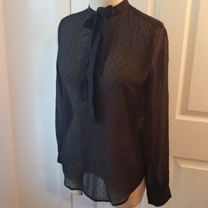 Sz S ANN TAYLOR swiss dot sheer blouse